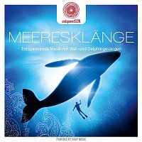 Davy Jones – entspanntSEIN - Meeresklange (Entspannende Musik mit Wal- und Delphingesangen)