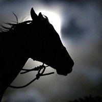Dark Horse – Dark Horse (Katy Perry Cover)