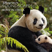 Disneynature Soundscapes – Disneynature Soundscapes: Born in China