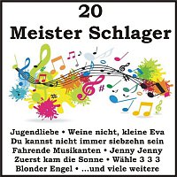 20 Meister Schlager