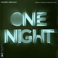 One Night [Cedric Gervais Festival Mix]