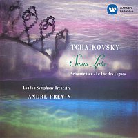 Přední strana obalu CD Tchaikovsky: Swan Lake