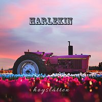 Harlekin – Hoyslatten