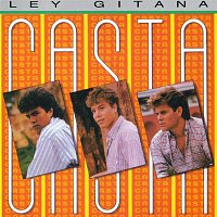 Přední strana obalu CD Ley Gitana (Remaserizado 2015)