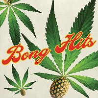 Přední strana obalu CD Bong Hits