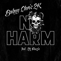 Babyy Chris 2K, 2k Foozie – No Harm