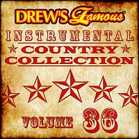 The Hit Crew – Drew's Famous Instrumental Country Collection [Vol. 36]