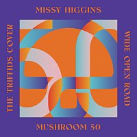 Missy Higgins – Wide Open Road
