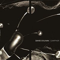 David Sylvian – Camphor