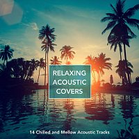 Různí interpreti – Relaxing Acoustic Covers: 14 Chilled & Mellow Acoustic Tracks