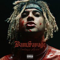 BamSavage – Feelings Aside