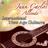 International New Age Guitarra, Vol. 2
