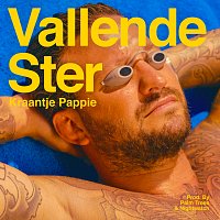 Kraantje Pappie – Vallende Ster