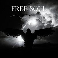 Přední strana obalu CD Free Soul