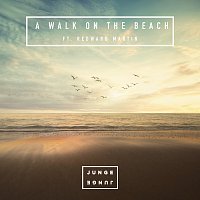 Přední strana obalu CD A Walk On The Beach
