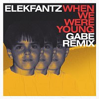 Elekfantz, Gabe – When We Were Young [Gabe Remix]