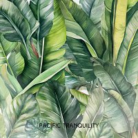 Bali Vibes – Pacific Tranquility