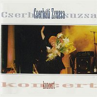 Přední strana obalu CD Koncert