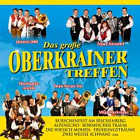 Různí interpreti – Das grosze Oberkrainer Treffen
