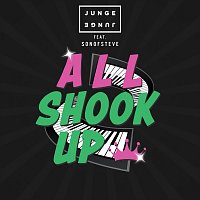 Junge Junge, sonofsteve – All Shook Up