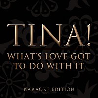 Tina Turner – What's Love Got To Do With It (Karaoke Version)