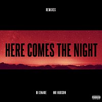 Here Comes The Night [Remixes]
