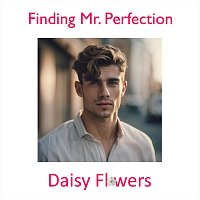Přední strana obalu CD Finding Mr. Perfection