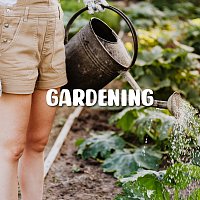 Luc Huy, LalaTv – Gardening