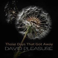 Přední strana obalu CD Those Days That Got Away