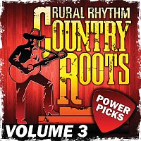 Různí interpreti – Country Roots Power Picks [Vol. 3]