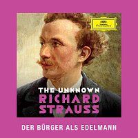 Přední strana obalu CD Strauss: Der Burger als Edelmann