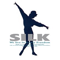 Silk – Silk