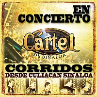 Cártel De Sinaloa – En Concierto-Corridos Desde Culiacán, Sinaloa