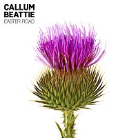 Callum Beattie – Easter Road