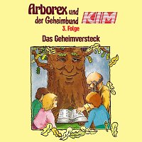 Přední strana obalu CD 03: Das Geheimversteck