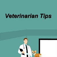 Veterinarian Tips
