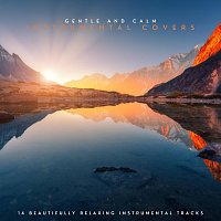 Gentle and Calm Instrumental Covers: 14 Beautifully Relaxing Instrumental Tracks