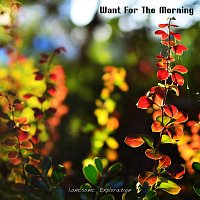 Lonesome Exploration – Want for the Morning