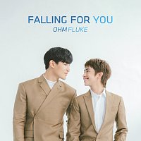 Přední strana obalu CD Falling for You [English Version]
