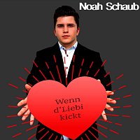 Noah Schaub – Wenn d’Liebi kickt