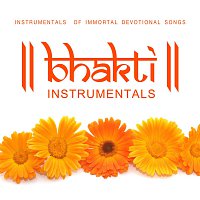 Různí interpreti – Bhakti Instrumentals