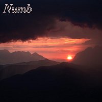 Přední strana obalu CD Numb