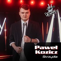 Paweł Kozicz – Skrzydła