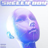 Přední strana obalu CD Skelly Boy