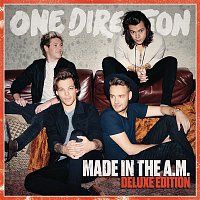 One Direction – Infinity