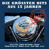 Přední strana obalu CD Die Grossten Hits Aus 15 Jahren