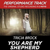 Tricia Brock – You Are My Shepherd [Performance Tracks]
