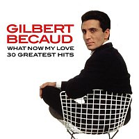 Přední strana obalu CD What Now My Love (30 Greatest Hits)