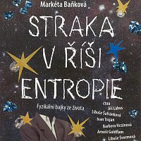 Různí interpreti – Straka v říši entropie