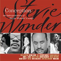 Různí interpreti – Conception - An Interpretation Of Stevie Wonder's Songs